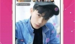 91什么总直播,揭秘直播行业背后的精彩瞬间